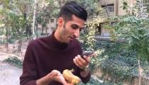 نهنگ آبی در اصفهان