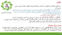 حیات افلاطون در یک نگاه