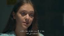 فیلم گربه سبز The Green Cat زیرنویس فارسی