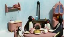 Pingu