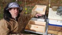 آموزش پرورش زنبور عسل بطور کامل و جز به جز