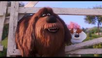 تریلر انیمیشن  The Secrec Life of Pets 2-2019