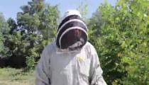 آموزش سیر تا پیاز زنبورداری بصورت گام به گام در118 فایل