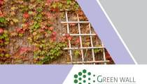 شرکت دیوار سبز مبتکر دیوار سبز و روف گاردن در ایران