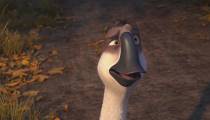انیمیشن اردک اردک غاز دوبله فارسی Duck Duck Goose