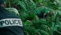 فیلم بی رد و نشان دوبله فارسی  Leave No Trace 2018