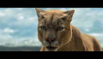فیلم مسیر بازگشت یک سگ به خانه دوبله فارسی A Dogs Way Home 2019