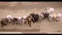 سريال هيولا قسمت دهم به صورت رايگان