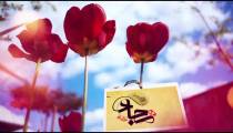 ویدئو کلیپ بسیار زیبا ویژه میلاد امام سجاد علیه السلام