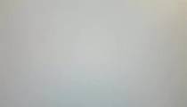 بازی یک زوج با بازار خودرو