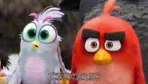 انیمیشن Angry Birds Movie 2 پرندگان خشمگین 2 - کیفیت بالا