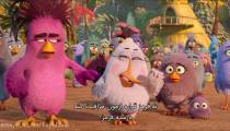 انیمیشن پرندگان خشمگین 2 زیرنویس فارسی | 2019 Angry Birds 2