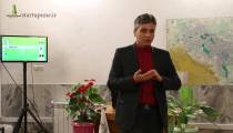 سیستم های چالاک در کسب و کار ها
