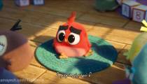 کارتون پرندگان خشمگین 2 2019 Angry Birds 2 - کیفیت بالا - زیرنویس فارسی چسبیده