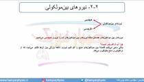 جلسه 54 فیزیک دهم - نیروهای بین مولکولی 1 - مدرس محمد پوررضا