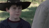 سریال مردگان متحرک فصل 2 قسمت 11 دوبله فارسی | The Walking Dead S02E11