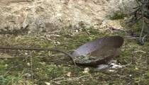 ORADOUR - SUR - GLANE MASSACRE VIDEO (PART 4) WW 2 FRANCE.