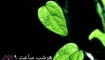 داستان واقعی 2