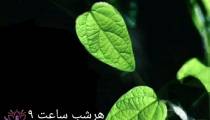 داستان واقعی 3