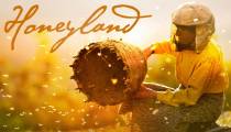 فیلم مستند سرزمین عسل Honeyland 2019 (زیرنویس فارسی)
