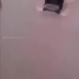 جنگ خروس و طاوس