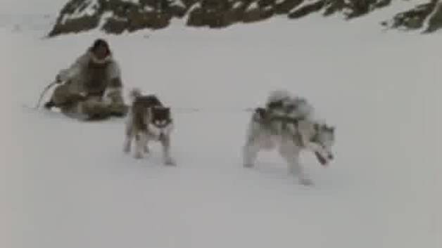 بخشی از مجموعه قدیمی و خاطره انگیز توکتو (اسکیموها) دوبله فارسی