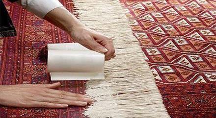 راهکارهای حفظ و نگهداری از ریشه فرش
