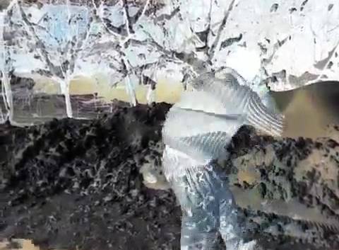 تمرین در هوای برفی-تکواندو آذرخش مرند