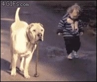 محافظت سگ از بچه