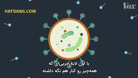 مدت زمان لازم برای شستشوی دست و نابودی ویروس کرونا
