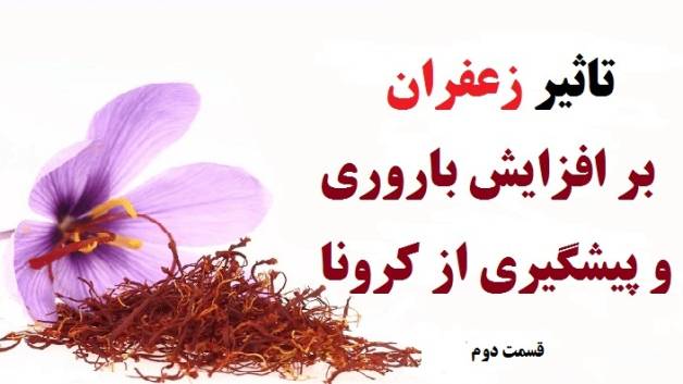 مستند پیشگیری از کرونا - قسمت دوم