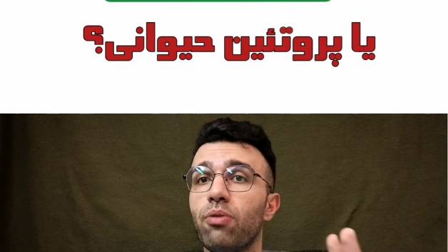 پروتئین گیاهی یا حیوانی