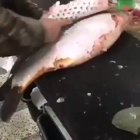 یک روش کاربردی برای پوست کندن ماهی